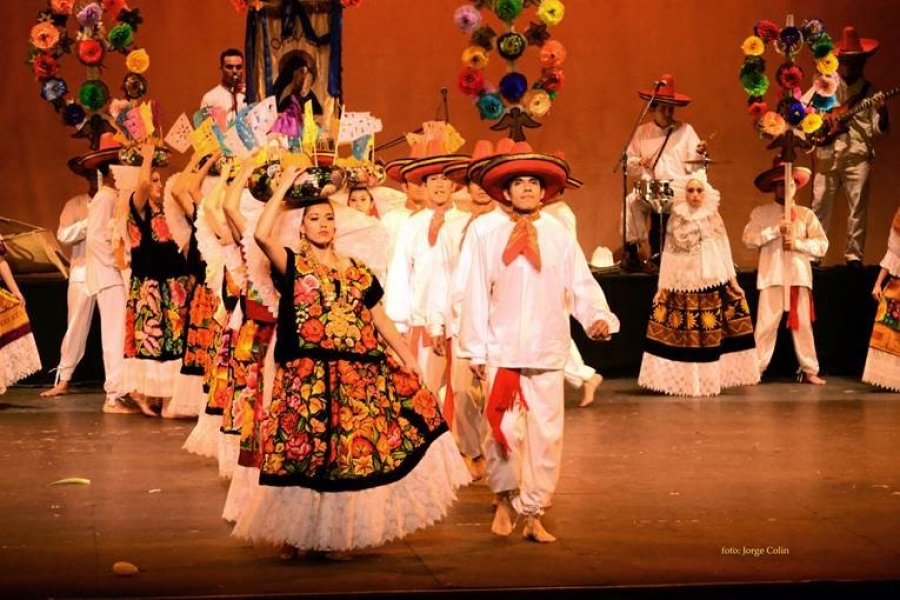 Secretaría De Cultura Kit De Prensa Celebran Cuatro Décadas De La Compañía Nacional De Danza 4902